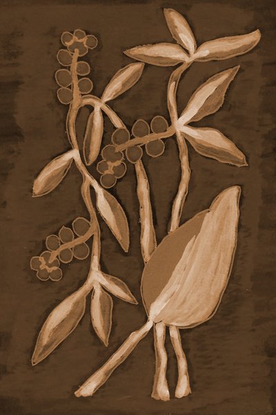 Ekologiczne produkty Sepia Botanicals autorstwa Lori Ann Folz