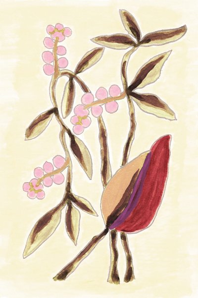 Pink Berry Botanicals autorstwa Lori Ann Folz