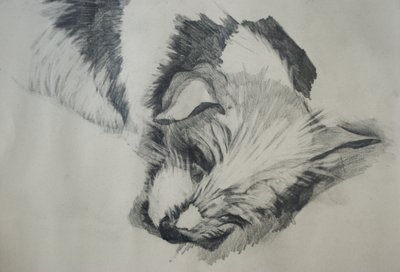Jacka Russela, 2015, autorstwa Lou Gibbs