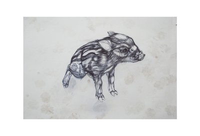 Mała Świnka, 2015, (biro biro na papierze) autorstwa Lou Gibbs