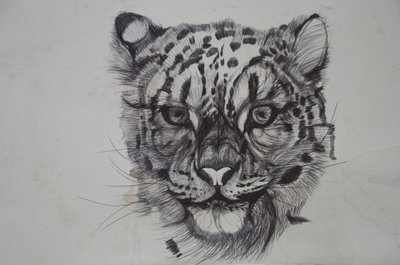 Snow Leopard, 2016, (biro biro na papierze) autorstwa Lou Gibbs