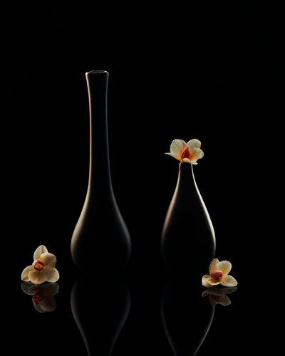 Eleganckie odbicia orchidei autorstwa Louie Luo