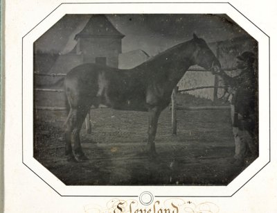 Cleveland, ok. 1842-1843. autorstwa Louis Auguste Bisson