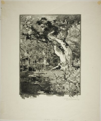 Le Clovis, Plateau de Bellecroix autorstwa Louis Auguste Lepère