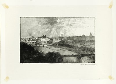 Paryż, widok z Pavillon de Flore, płyta jedenasta z Le Long de la Seine et des Boulevards autorstwa Louis Auguste Lepère