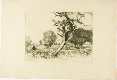 Martwa jabłoń autorstwa Louis Auguste Lepère