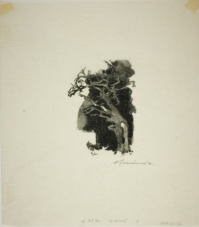 Spitfire autorstwa Louis Auguste Lepère