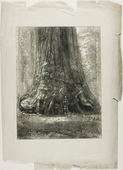 Twisted Trees autorstwa Louis Auguste Lepère