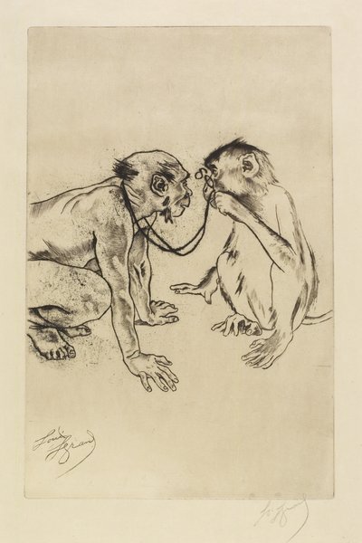 Anatomia porównawcza autorstwa Louis Auguste Mathieu Legrand