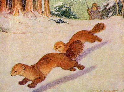 W zoo: Martens (kolor lito) autorstwa Louis Augustus Sargent