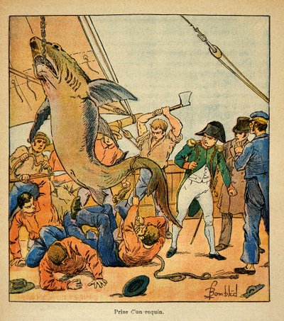 Ilustracja autorstwa Bombled Louis (1862-1927) z książki „Memoriał św. Heleny” hrabiego Emmanuela de Las Cases (1766-1842): Cesarz Napoleon uczestniczy w schwytaniu rekina na pokładzie Northumberland, kolekcja prywatna autorstwa Louis Charles Bombled