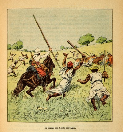 Wojna na Madagaskarze – anegdotyczna historia francuskich ekspedycji z lat 1885-1895 Henri Galli dit Galllichet (1854-1922), zilustrowana przez Louisa Bombleda (1862-1927): Polowanie na dzikie woły na Madagaskarze w 1895 roku, kolekcja prywatna autorstwa Louis Charles Bombled