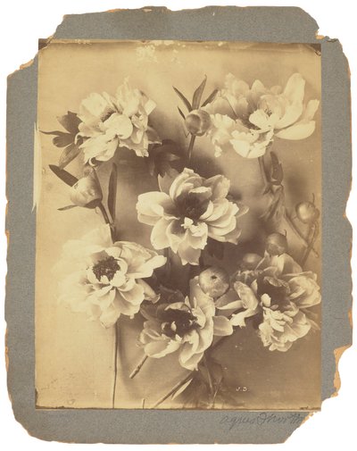 Tiffany Studios, ok. 1898-1920 (fotografia czarno-biała) autorstwa Louis Comfort Tiffany