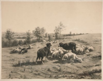 Owce autorstwa Louis Emmanuel Soulange Teissier