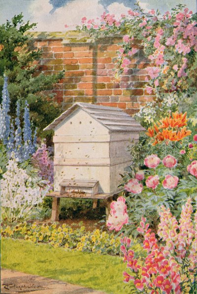 Ul, ilustracja z „Stories of Insect Life” Williama J. Claxtona autorstwa Louis Fairfax Muckley