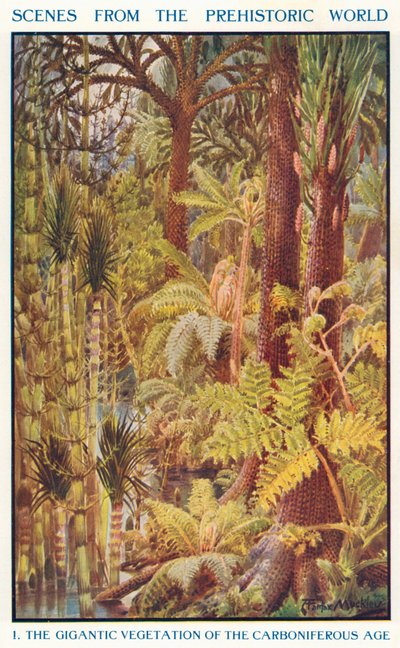 Gigantyczna roślinność epoki karbonu (kolorowa litografia) autorstwa Louis Fairfax Muckley