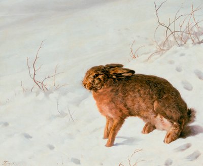 Zając w śniegu, 1875 autorstwa Louis Ferdinand von Rayski