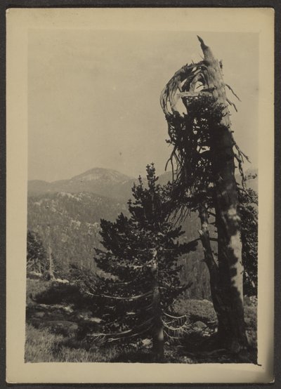 [Abe Lincoln Peak] autorstwa Louis Fleckenstein