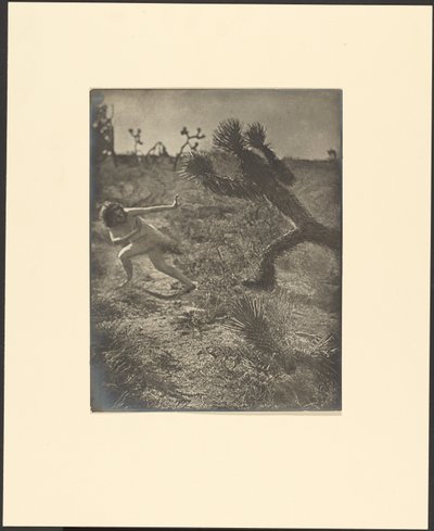 Bogey Man of the Desert autorstwa Louis Fleckenstein