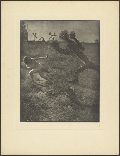 Bogey Man of the Desert autorstwa Louis Fleckenstein