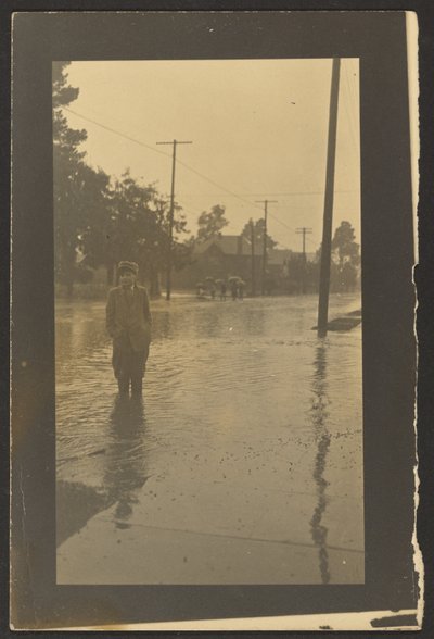  autorstwa Louis Fleckenstein