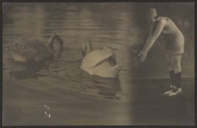 [Kompozycja łabędzi i nurka] autorstwa Louis Fleckenstein
