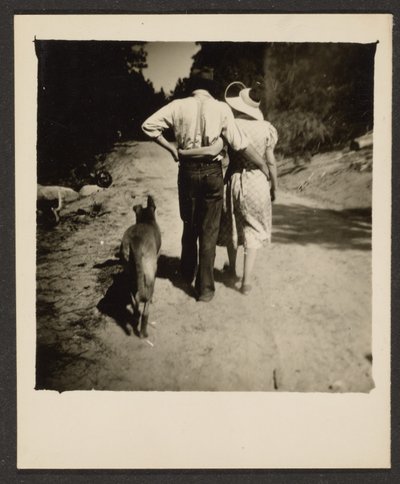  autorstwa Louis Fleckenstein