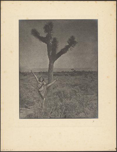 [Tancerka w Joshua Tree] autorstwa Louis Fleckenstein