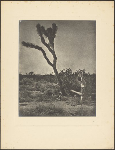 [Tancerka w Joshua Tree] autorstwa Louis Fleckenstein