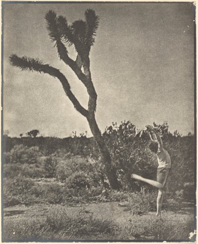 [Tancerz przy Joshua Tree] autorstwa Louis Fleckenstein