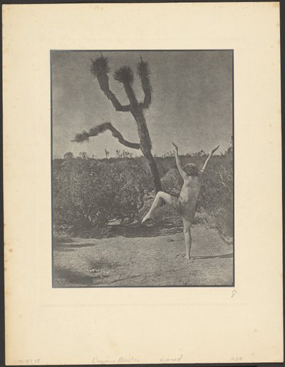 Dancing Master autorstwa Louis Fleckenstein