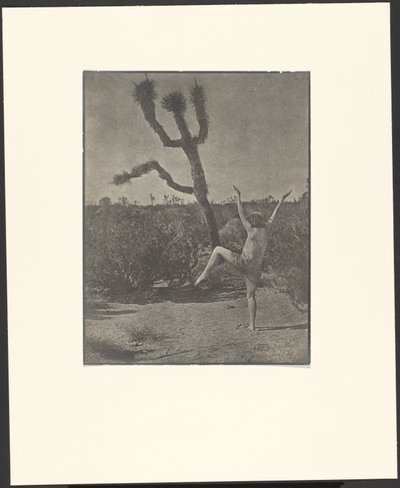 Dancing Master autorstwa Louis Fleckenstein