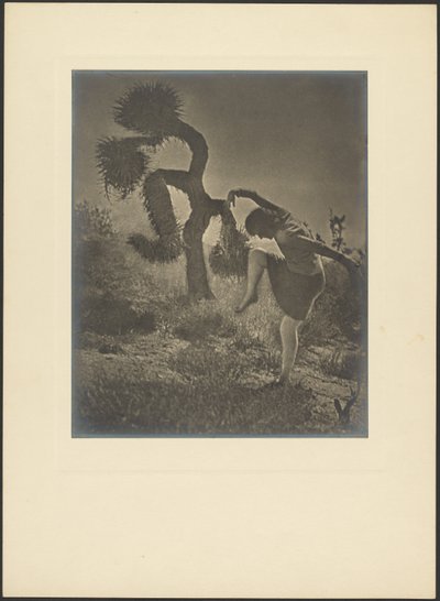  autorstwa Louis Fleckenstein