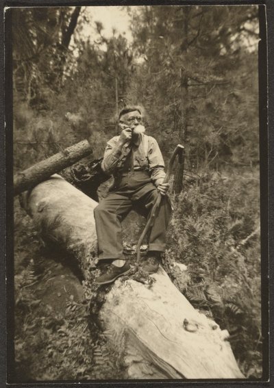 [Fleckenstein on a Log] autorstwa Louis Fleckenstein