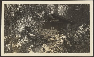 [Forest Lodge] autorstwa Louis Fleckenstein