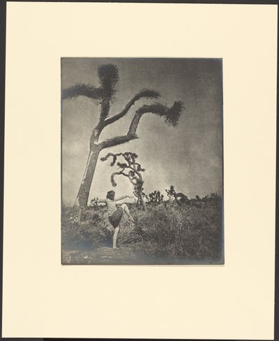 autorstwa Louis Fleckenstein