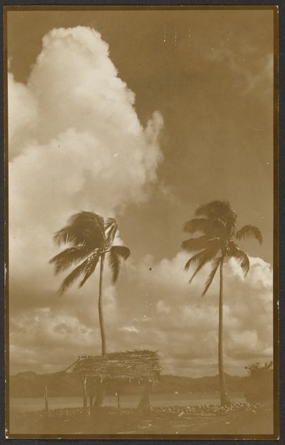  autorstwa Louis Fleckenstein