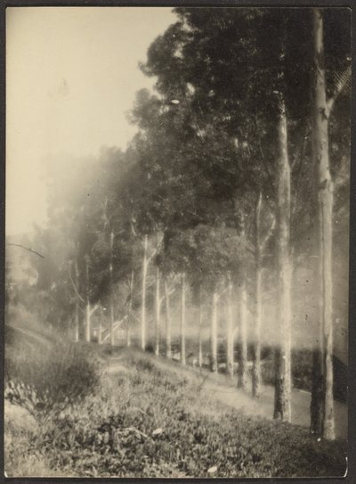  autorstwa Louis Fleckenstein