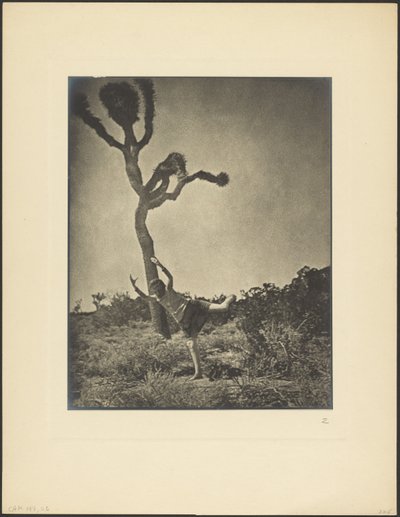  autorstwa Louis Fleckenstein