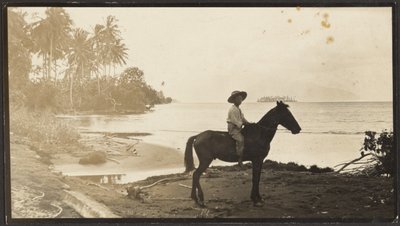  autorstwa Louis Fleckenstein