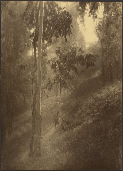  autorstwa Louis Fleckenstein