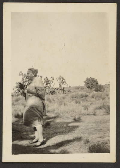 [Pani Fleckenstein w Krajobrazie]. autorstwa Louis Fleckenstein
