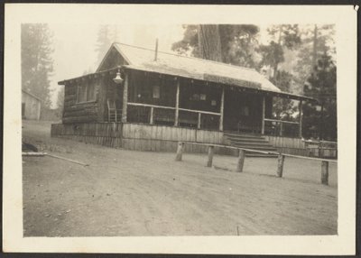[Pine Knot Store] autorstwa Louis Fleckenstein