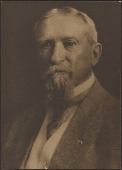 [Portret brodatego mężczyzny] autorstwa Louis Fleckenstein