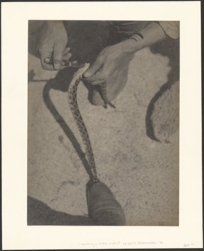  autorstwa Louis Fleckenstein