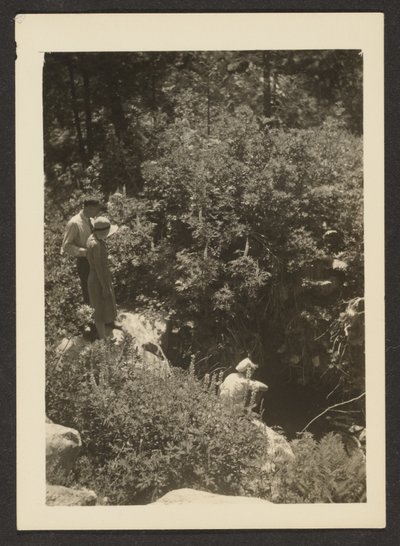 [Wiosna w Fern Valley] autorstwa Louis Fleckenstein