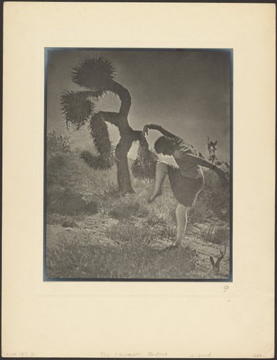  autorstwa Louis Fleckenstein