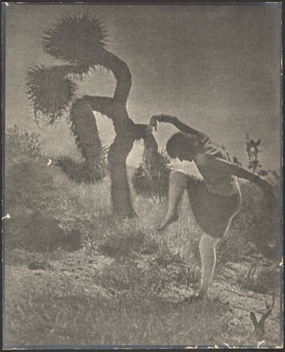  autorstwa Louis Fleckenstein