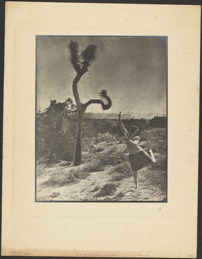  autorstwa Louis Fleckenstein