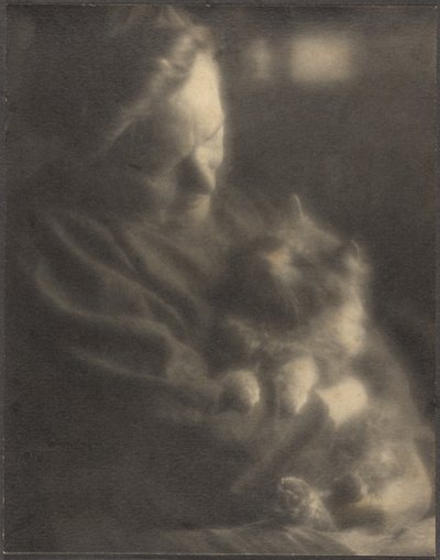 Angora domowa autorstwa Louis Fleckenstein